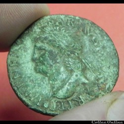 NERON tête à gauche