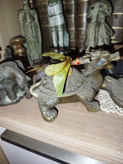 petit dragon imaginaire