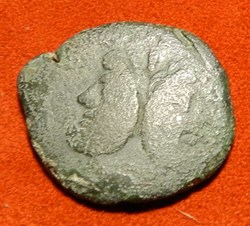 Janus