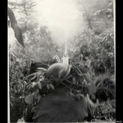guerre de Corée armement