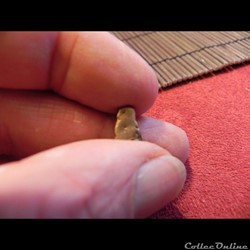 petite pépite d'or