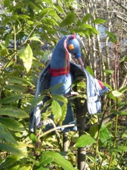 Sculpture zoomorphe d'oiseau en tissu
