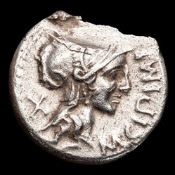 Denier - Marcus Cipius, Rome, -115/-114