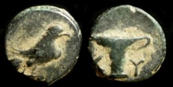 AEOLIS, KYME AE 11