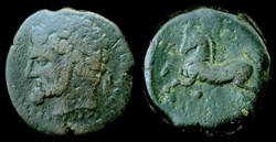KINGS OF NUMIDIA, MICIPSA AE27