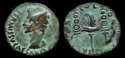 AUGUSTUS Æ 31 Dupondius