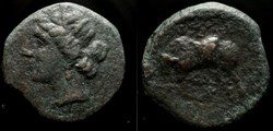 SICILY, SYRACUSE, HIERON II AE19