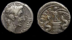 AUGUSTUS AR Quinarius