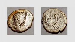 SEPTIMIUS SEVERUS Denarius, RIC 374a, Crossed Cornucopia