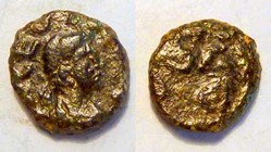 LEO I AE4 RIC 674, Lion