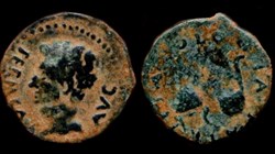 AUGUSTUS AE Semis