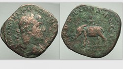 PHILIP I Sestertius, RIC 161a, Elephant