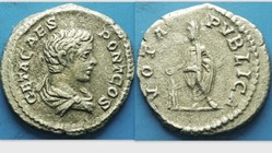 Geta AR Denarius, RIC IV 38b, VOTA PVBLICA