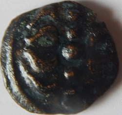 bronze vartice nervien
