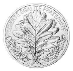 20 euros - Chêne