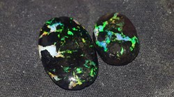 Opales de bois fossilisé polies indonésiennes 7 carats