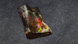 Opale de bois fossilisé indonésienne 12.54 carats