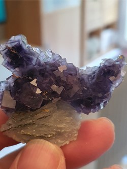 Fluorine barytine pyrite, France