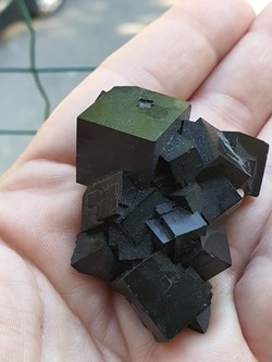 Fluorine, Frohnau, Allemagne
