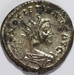 aurelianus