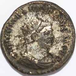 aurelianus