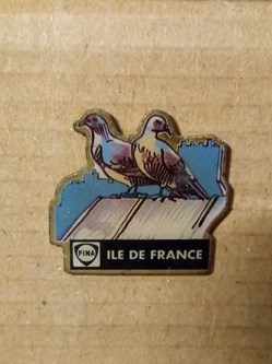 Pin's\Pétroliers\Fina