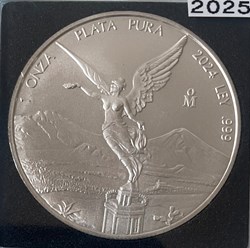LIBERTAD 2024