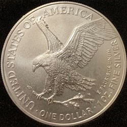 American Eagle 2022