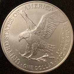 American Eagle 2022