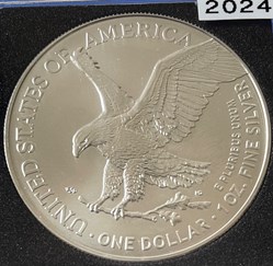 American Eagle  2024