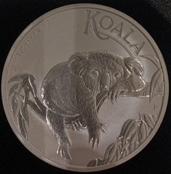 KOALA 2022