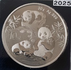 PANDA 2025