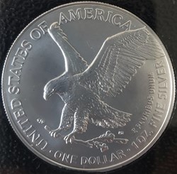 American Eagle 2021 - New