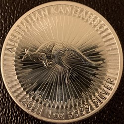 AUSTRALIAN KANGAROO 2021
