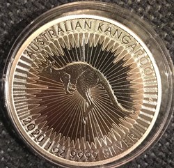 AUSTRALIAN KANGAROO 2020
