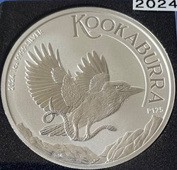KOOKABURRA 2024