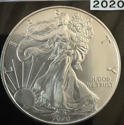 American Eagle 2020