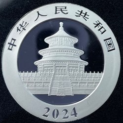 PANDA 2024