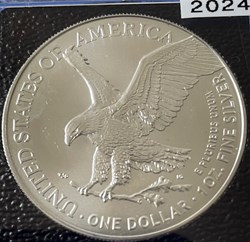 American Eagle  2024