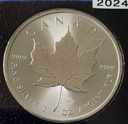 CANADA MAPLE LEAF 2024