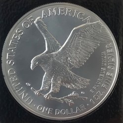 American Eagle 2021 - New