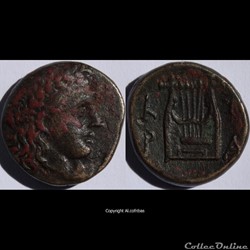 Ae16 Cyrène - Apollon / Lyre SNG Cop. 1266