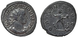 PROBUS BASTIEN 164 SOLD