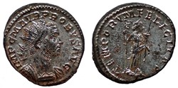 PROBUS BASTIEN 151 SOLD