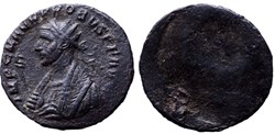 PROBUS CYZICUS H2 BUST REVERSE MISSTRIKE SOLD