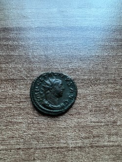 Tacitus Mars Victor 250