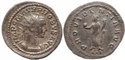 PROBUS BASTIEN 171 SOLD