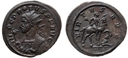 PROBUS VIRTVS (unlisted reserve) SOLD
