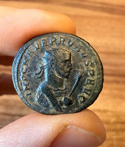PROBUS RIC 864var.