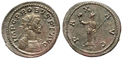 PROBUS BASTIEN 366 - SOLD